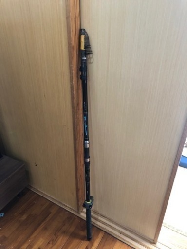 打ち込み竿　ダイワ