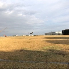 年末年始前のお庭のお手入れ - 久留米市