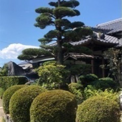 年末年始前のお庭のお手入れの画像