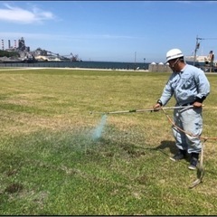 年末年始前のお庭のお手入れ - 剪定/造園