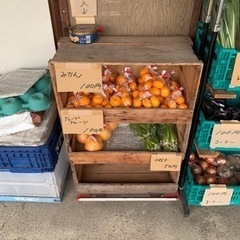 新鮮激安野菜❤️無人販売😊の画像