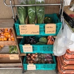 新鮮激安野菜❤️無人販売😊の画像