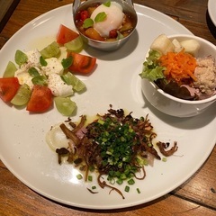 緩めのOB訪問