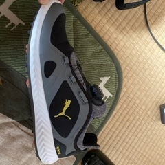 ゴルフシューズ&ケース　メンズ　25.5〜26 プーマの画像