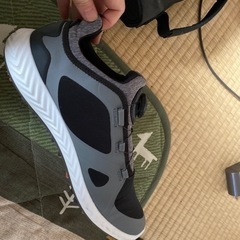 ゴルフシューズ&ケース　メンズ　25.5〜26 プーマの画像