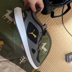 ゴルフシューズ&ケース　メンズ　25.5〜26 プーマの画像