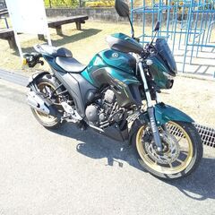 FZS25インドヤマハ　写真入れ替えました。