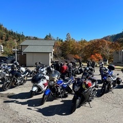 11/20（日）おかんのみかんは多感な予感！果敢に挑むワインディ...