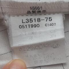 平塚中等教育学校指定の半袖シャツの画像