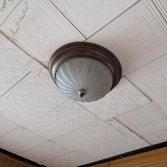 シーリングライト