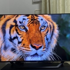 【広川町🔒】【5年保証有】ハイセンス 50V型 4Kチューナー内蔵 液晶 テレビ 50U7F