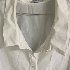 レディース　シャツ　Ｌの画像