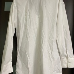 レディース　シャツ　Ｌの画像