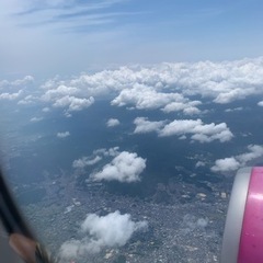 ボランティア仲間募集