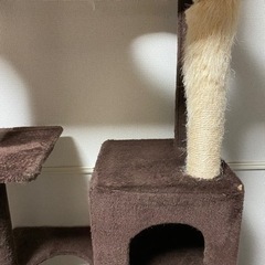 つっぱりキャットタワー ブラウンの画像