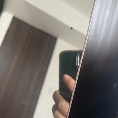 ニトリ　姿鏡　無料の画像