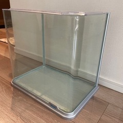 金魚水槽　Tetra