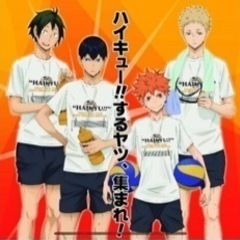 八王子初心者向けの混合バレーボール - 八王子市
