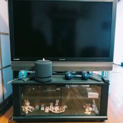 貴重!世界の亀山テレビ50型