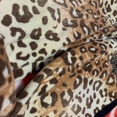 90サイズ　ズボンの画像