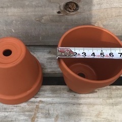 観葉植物　素焼きの小鉢〈20個〉〈す〉の画像