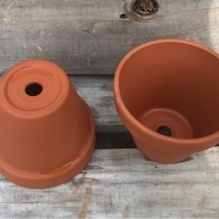 観葉植物　素焼きの小鉢〈20個〉〈す〉