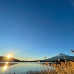 11月13日本日　巣鴨あたり