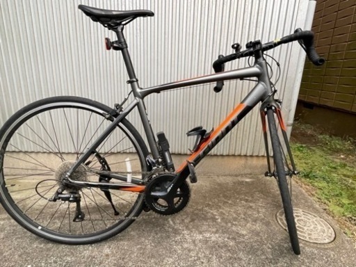GIANT CONTEND 1 2019年製