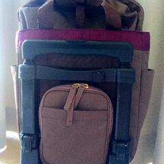 SWANY　キャリーバッグ　　大人可愛いデザインの画像