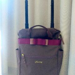 SWANY　キャリーバッグ　　大人可愛いデザインの画像