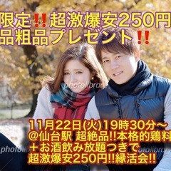 (超激爆安250円‼️＋超絶品粗品プレゼント‼️)【11月22日...