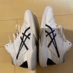バッシュ　23センチの画像