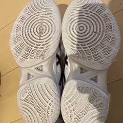 バッシュ　23センチの画像