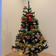 クリスマスツリーの画像