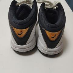 アシックス DUNKSHOT 22.0cmの画像