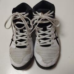 アシックス DUNKSHOT 22.0cmの画像