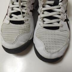 アシックス DUNKSHOT 22.0cmの画像