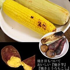 【直火専用】萬古焼 ニューセラミックス製 ほっかほっか 石焼いも【新品】の画像