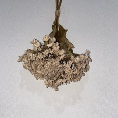 ドライフラワー スワッグ 紫陽花 あじさいの画像