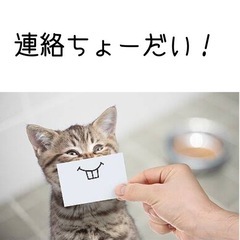 気軽に遊べる歳近い👩‍🦰友達がほしい！ − 山梨県