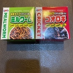 爬虫類　餌　加熱処理なまタイプ　コオロギ　ミルワームセット