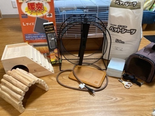 ハリネズミ　飼育セット