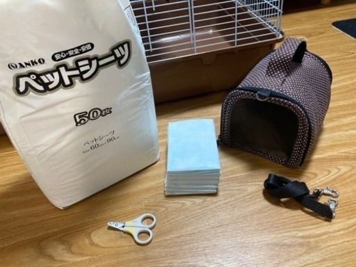 ハリネズミ　飼育セット