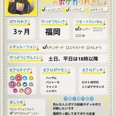 ポケカ、カメラ好きな人