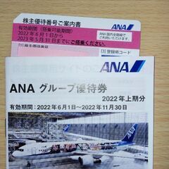 ANA株主乗車券