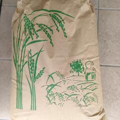 【格安古米】岡山県産キヌムスメ②