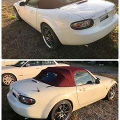 大幅値下げ！、H20 NCロードスター  5速！　一時抹消済みの画像