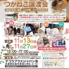 人と猫を結ぶ⛩猫縁成就⛩『みんなの譲渡会』
