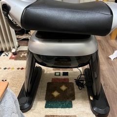 ロデオ　最終値下げの画像