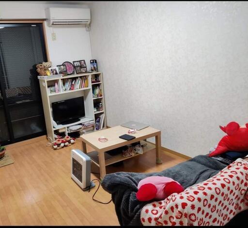 テレビと暖房